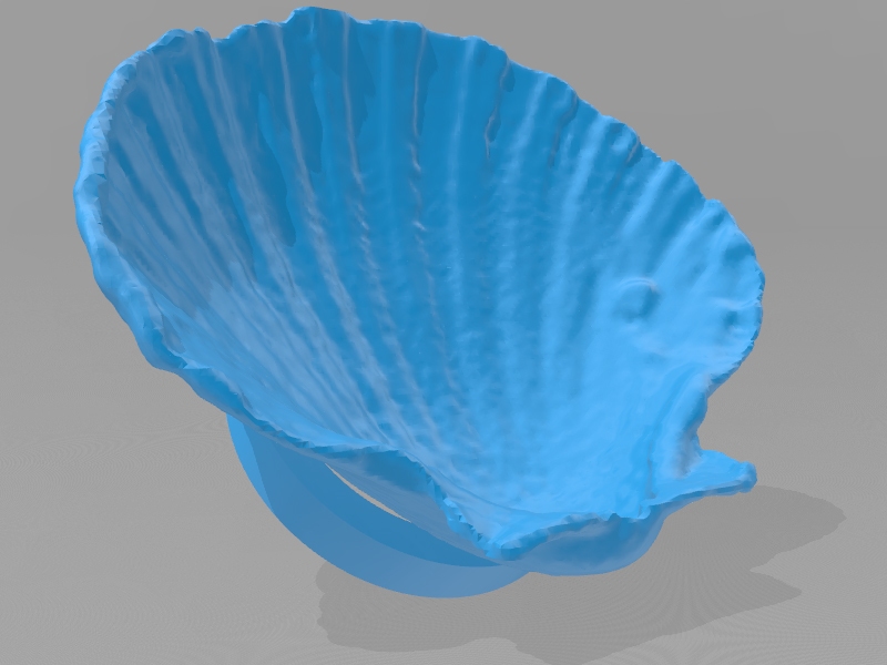 贝壳肥皂碟 3D打印模型免费STL文件下载-深圳市博易特智能科技有限公司