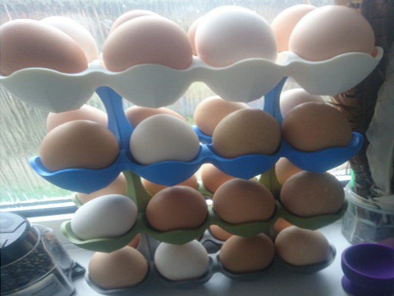 可堆叠鸡蛋架3D打印模型免费STL文件下载-深圳市博易特智能科技有限公司