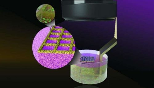 微生物3D打印 18微米高分辨率 相当于人体细胞的直径